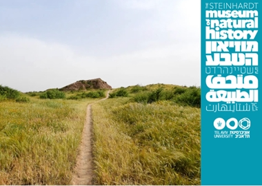 תכנון וניהול שטחים פתוחים: מבט לאחור ואתגרים להמשך