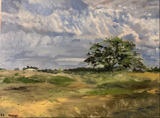 קול קורא להשתתפות בתערוכה: נוף מרחב אור